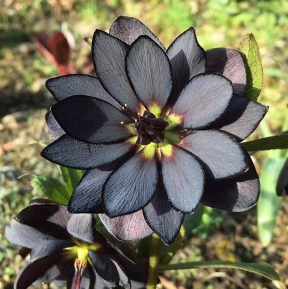 ๐ Welcome to my closet!โ๐๐ - Picture 3 of 8